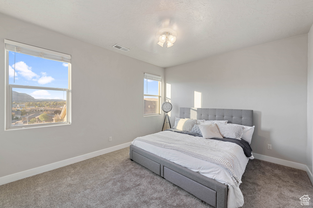 Carpeted bedroom with a textured ceiling