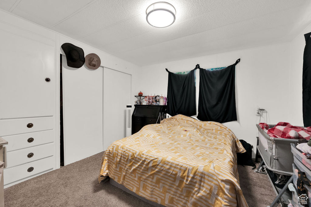 Carpeted bedroom featuring a textured ceiling