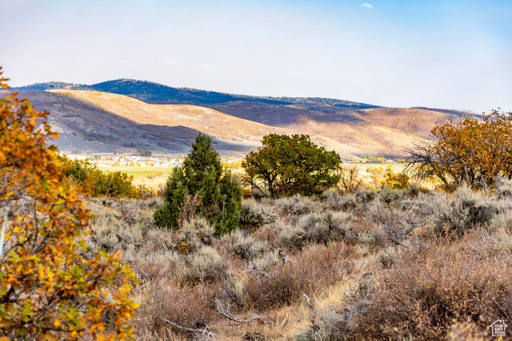 View of mountain backdrop