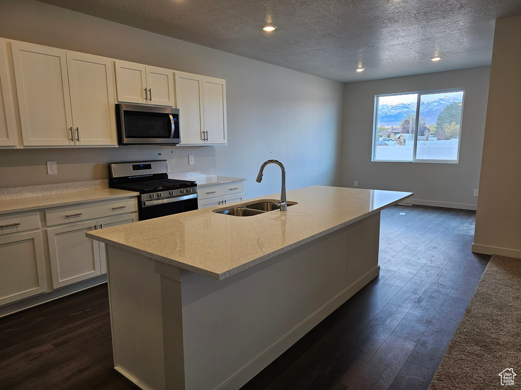 Kitchen with appliances with stainless steel finishes, white cabinetry, sink, and an island with sink