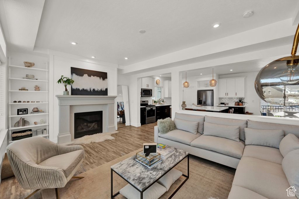 Living room featuring sink and wood-type flooring