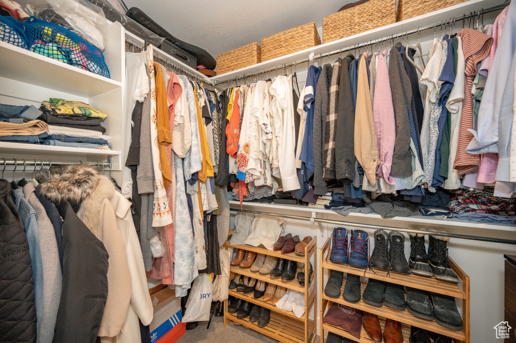 Spacious closet featuring carpet flooring