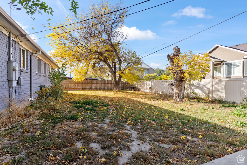 View of yard