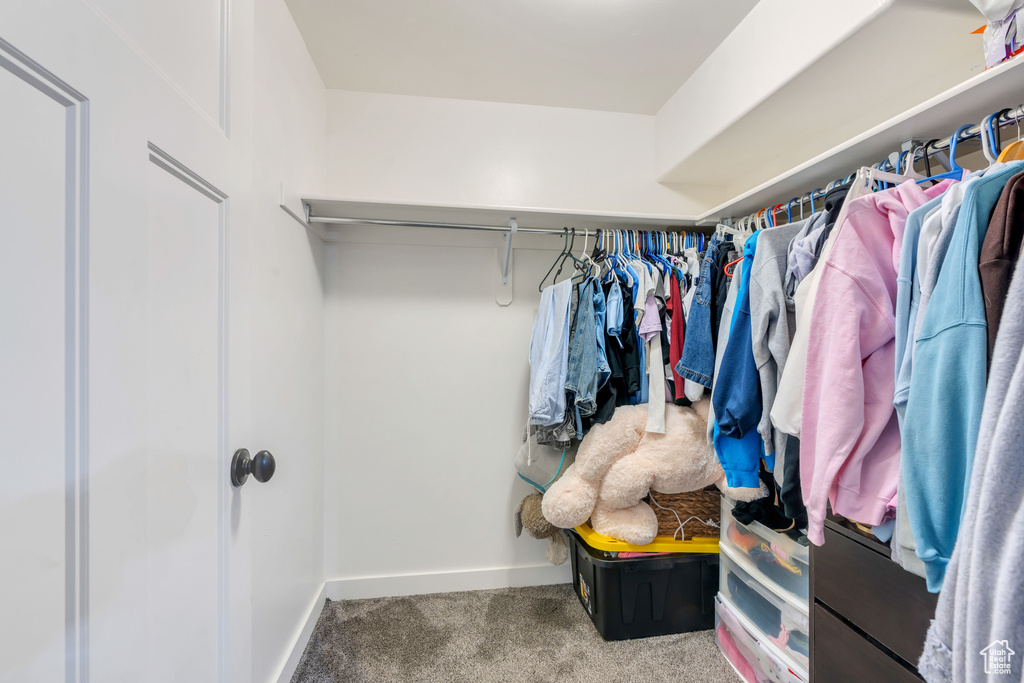 Spacious closet featuring carpet flooring