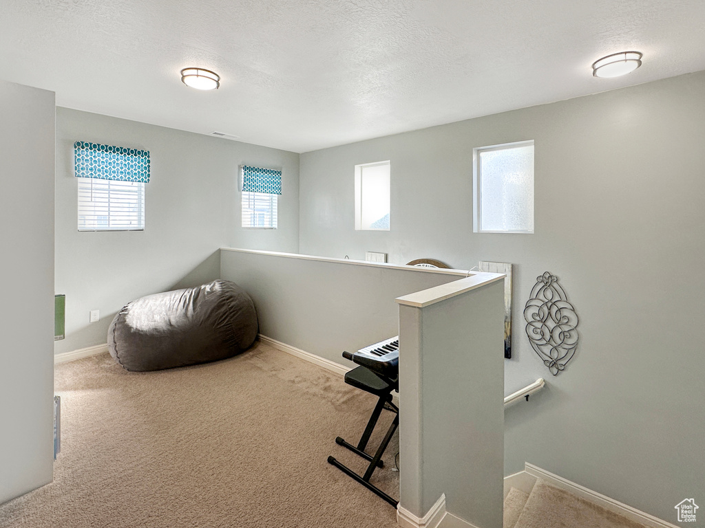 Exercise room with a textured ceiling, a healthy amount of sunlight, and carpet flooring