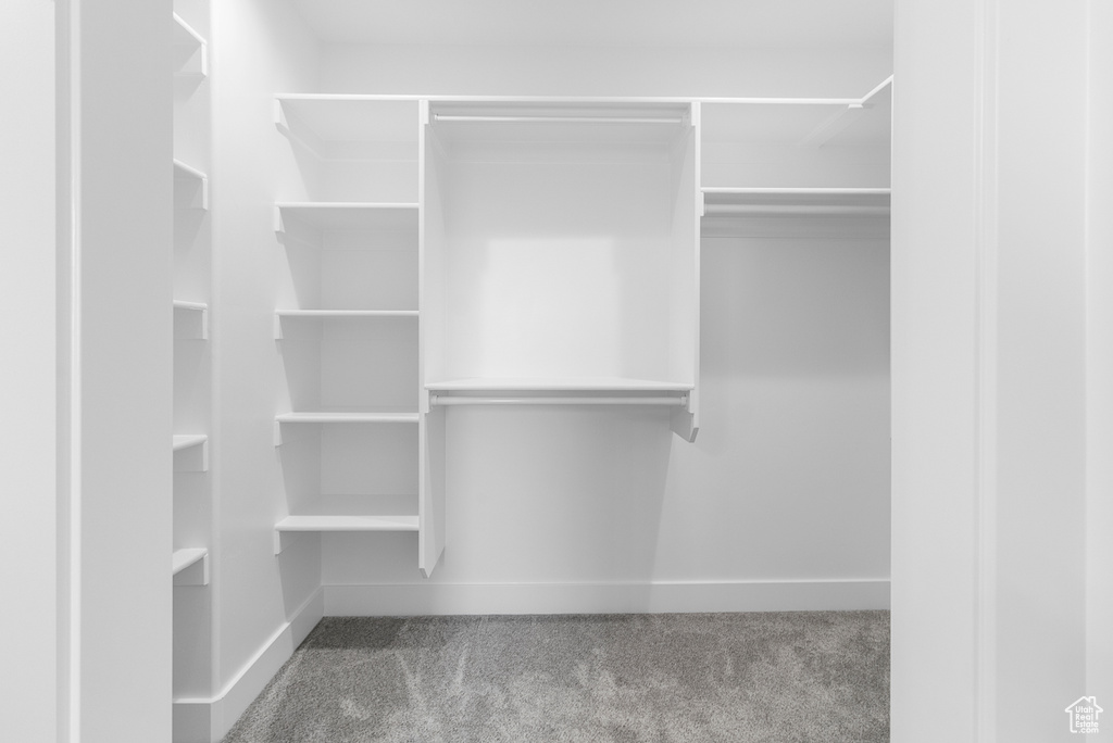 Spacious closet featuring carpet flooring