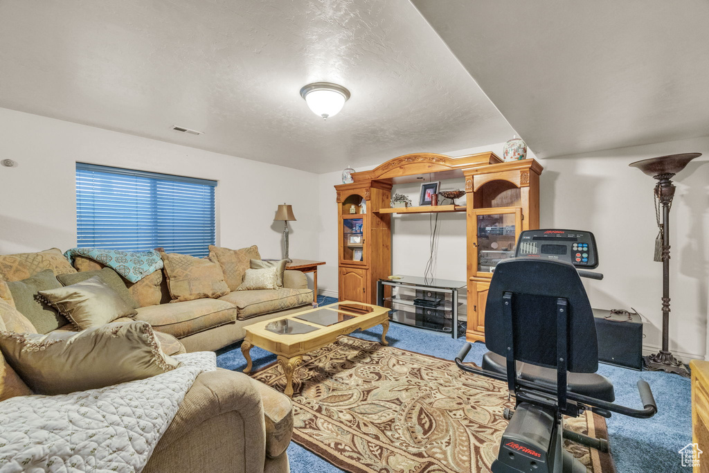 Carpeted living room with a textured ceiling