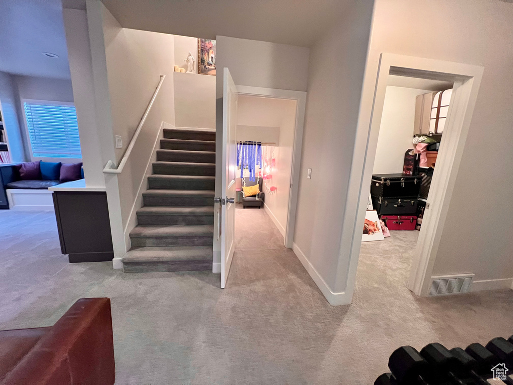 Staircase featuring carpet flooring and a wealth of natural light