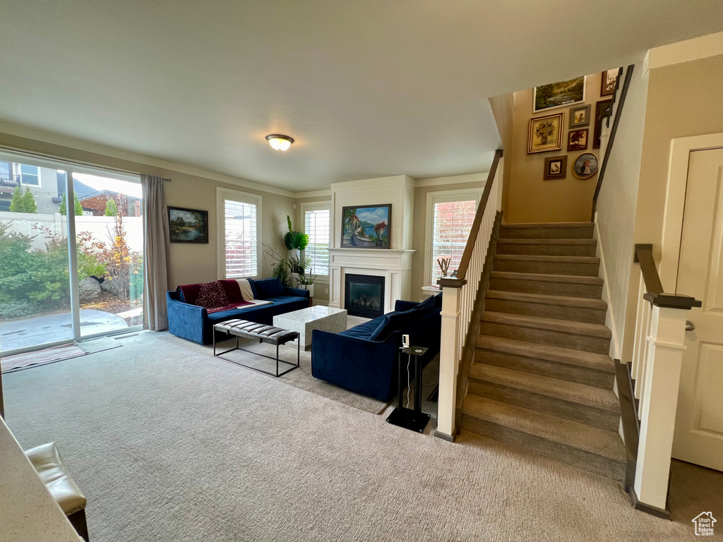 View of carpeted living room