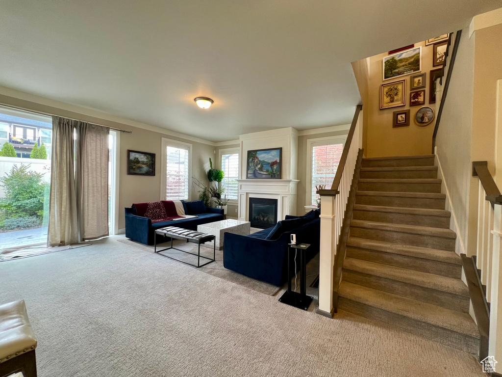 Carpeted living room featuring a healthy amount of sunlight