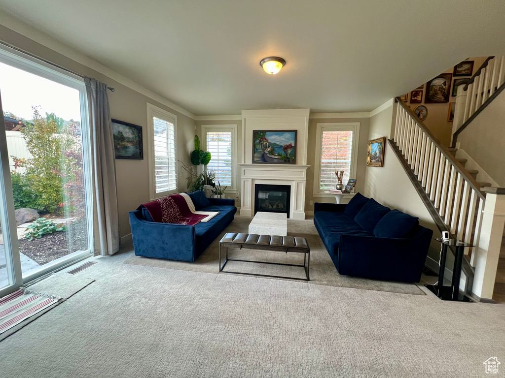 Living room featuring crown molding, carpet floors, and a healthy amount of sunlight