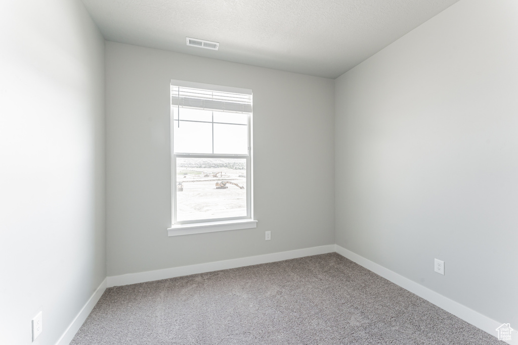 Carpeted spare room featuring a wealth of natural light, visible vents, and baseboards