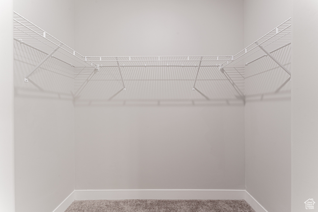 Spacious closet with carpet flooring
