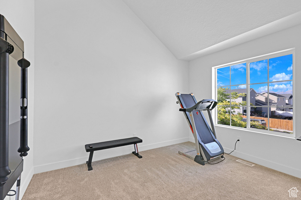 Exercise area with light carpet, a textured ceiling, and vaulted ceiling