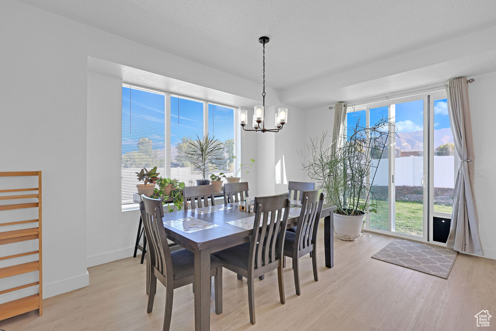 Dining area featuring light hardwood / wood-style flooring, a healthy amount of sunlight, and a chandelier