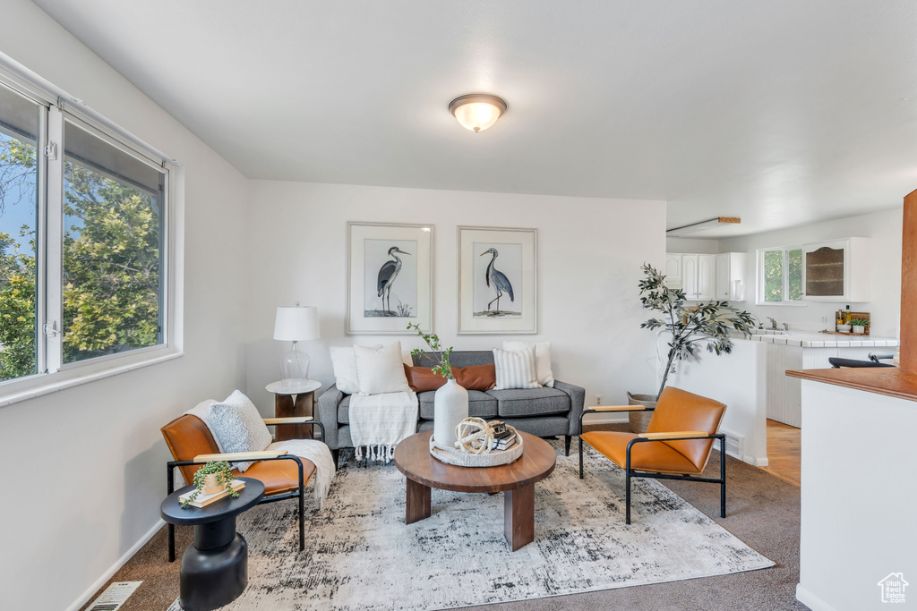 Living room with carpet flooring and plenty of natural light