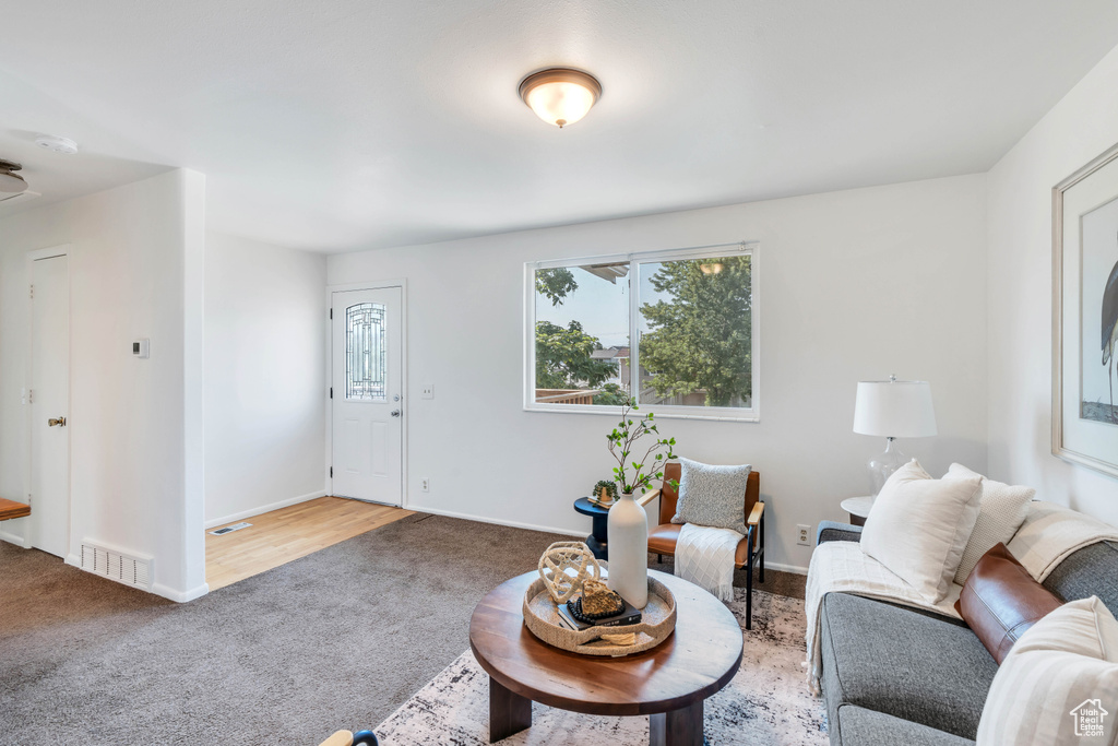 Living room with carpet floors