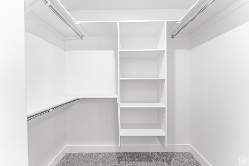 Spacious closet featuring carpet floors