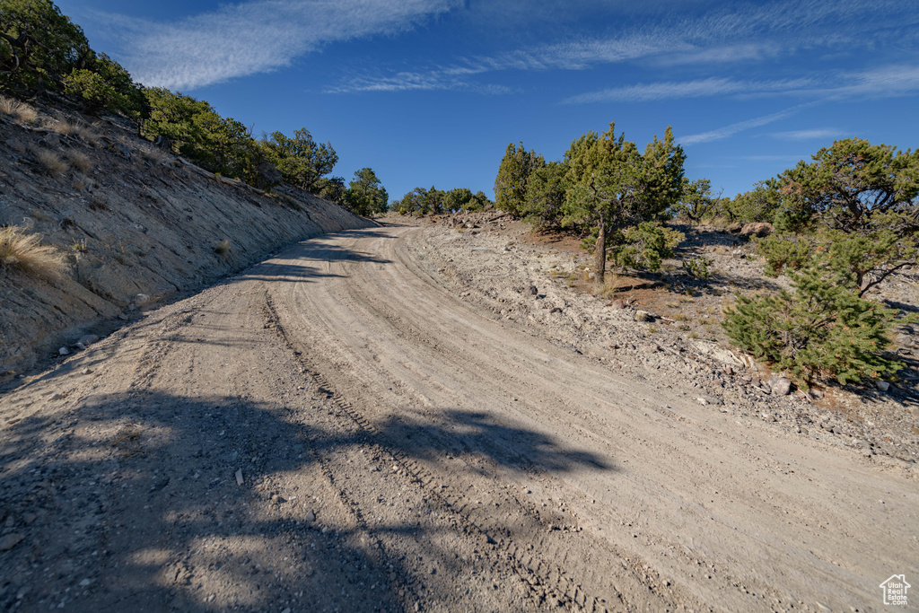 View of road