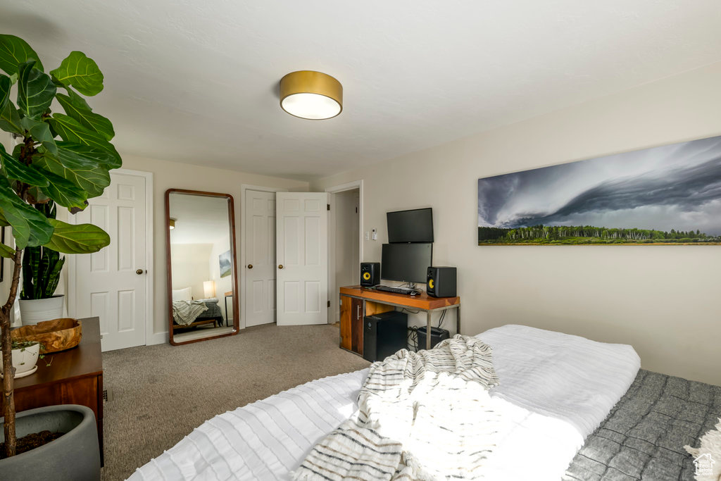 Bedroom featuring carpet floors