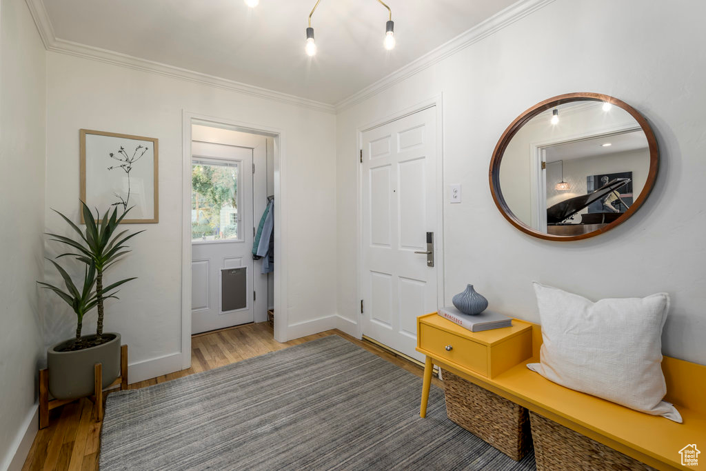 Entryway with crown molding and hardwood / wood-style floors