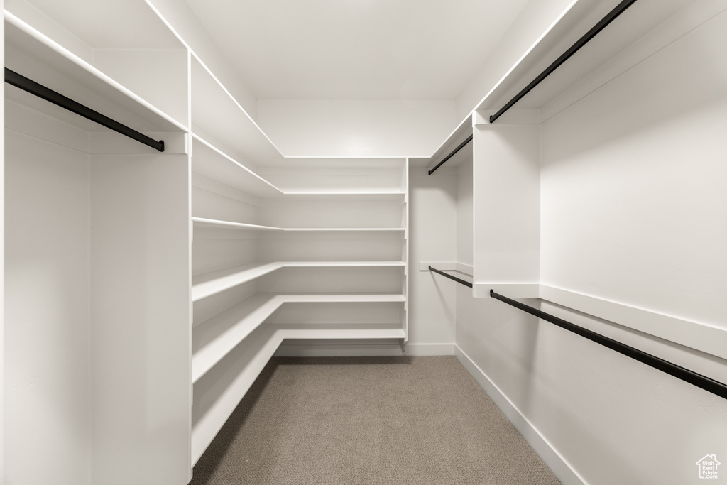 Walk in closet featuring carpet floors