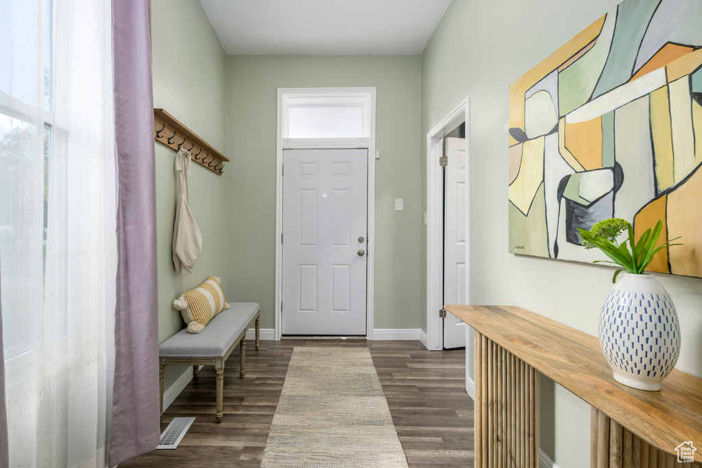 Mudroom with a wealth of natural light and dark hardwood / wood-style flooring