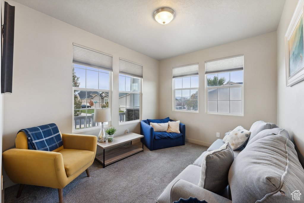 Carpeted living room with a healthy amount of sunlight