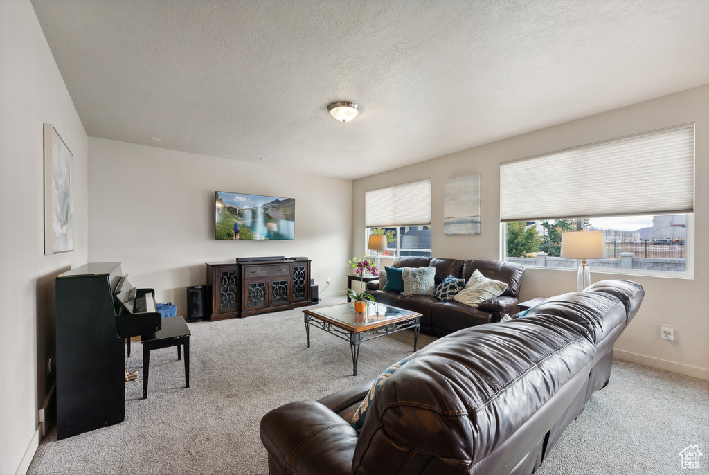 Living room featuring a textured ceiling and light colored carpet