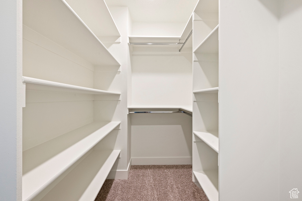 Spacious closet with carpet flooring