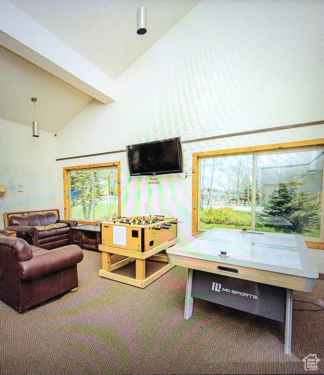 Carpeted living room with vaulted ceiling