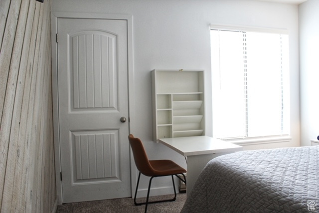 Bedroom featuring carpet floors