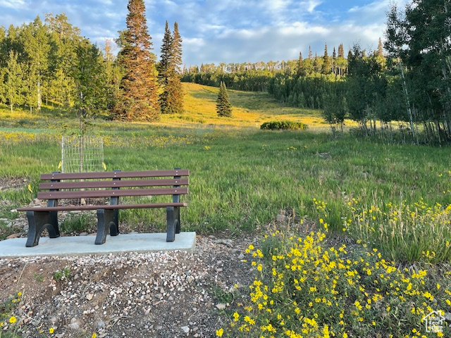 View of home\'s community