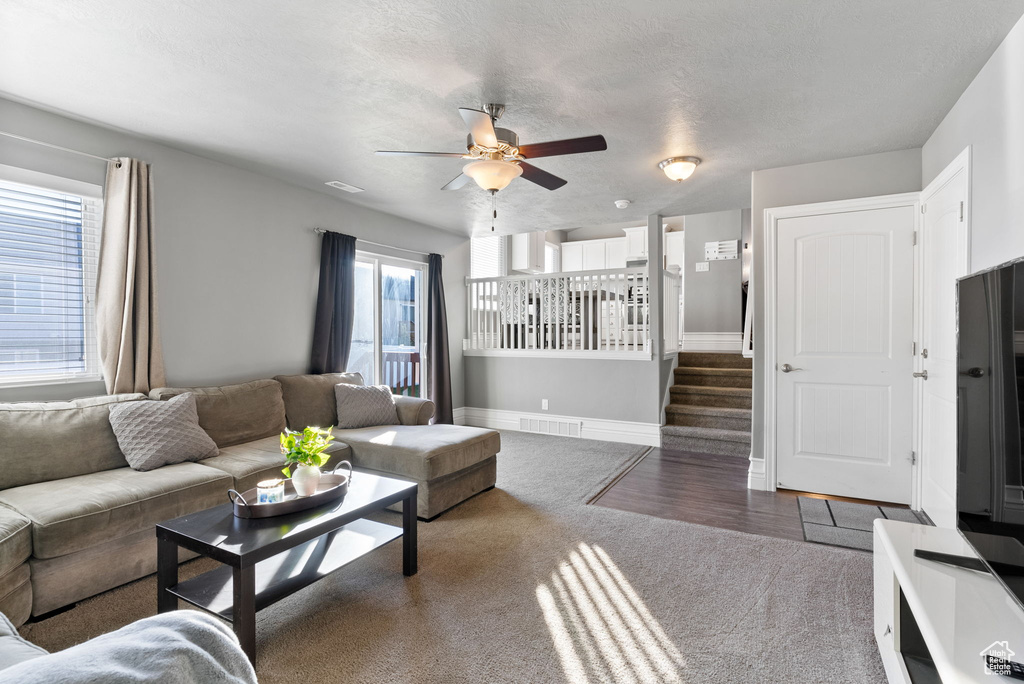 Living room with ceiling fan, dark hardwood / wood-style floors, and a textured ceiling