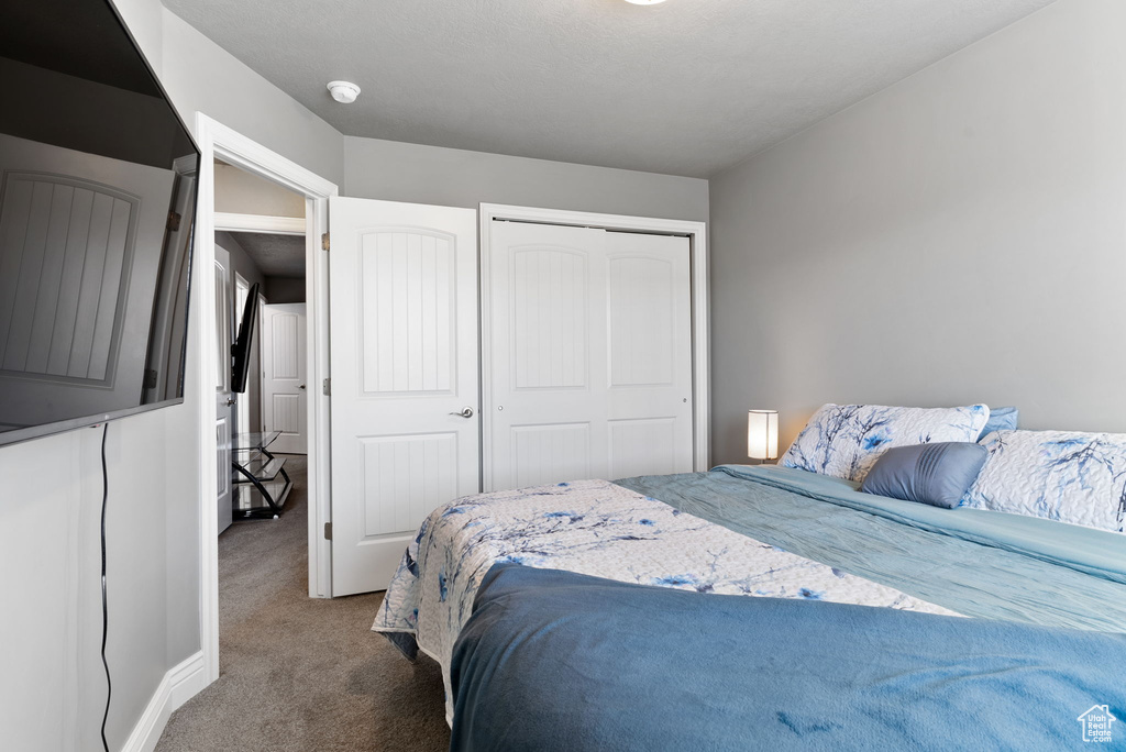 Bedroom with a closet and carpet floors