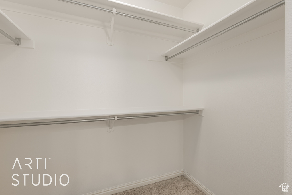 Spacious closet featuring carpet flooring