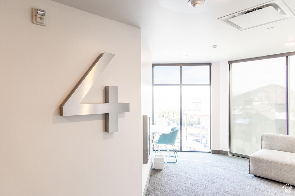 Interior space featuring a wall of windows, carpet floors, and a wealth of natural light