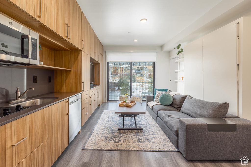 Living room featuring dark wood-type flooring and sink