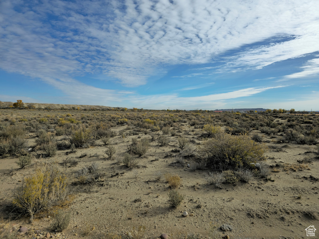 View of local wilderness