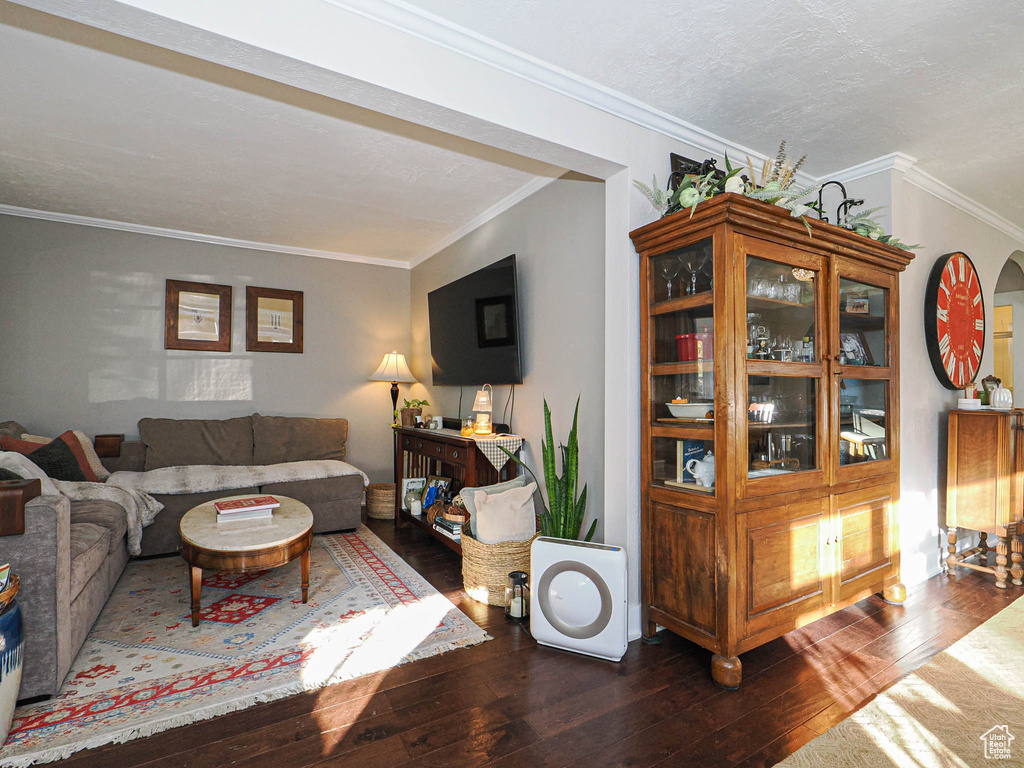 Living room with ornamental molding and dark wood-type flooring