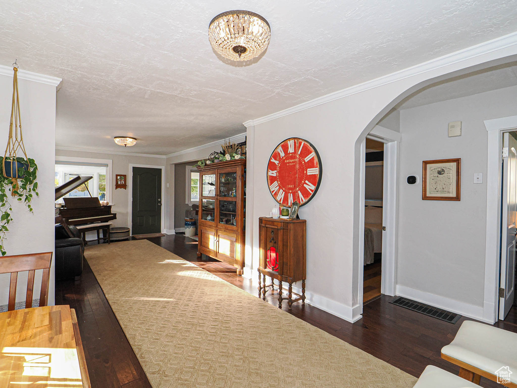 Hall with a textured ceiling, ornamental molding, and dark hardwood / wood-style flooring