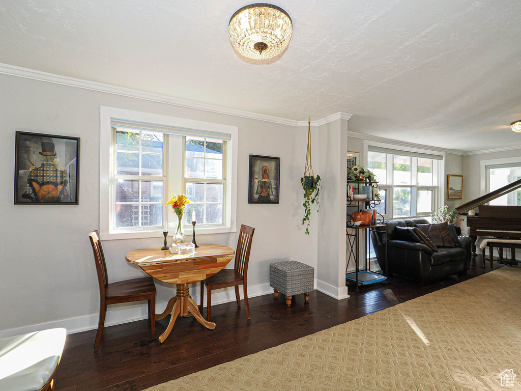 Dining space with dark wood-type flooring, ornamental molding, and a wealth of natural light