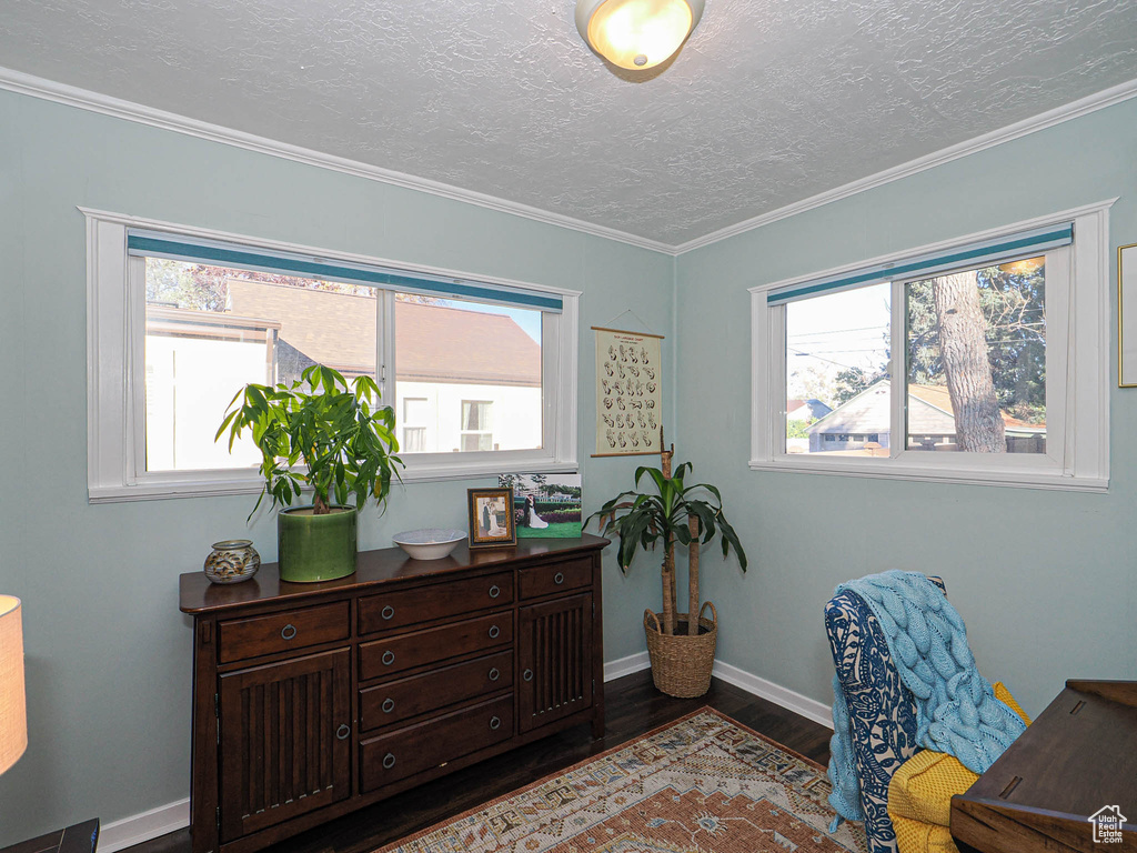 Home office featuring a healthy amount of sunlight, ornamental molding, a textured ceiling, and hardwood / wood-style floors