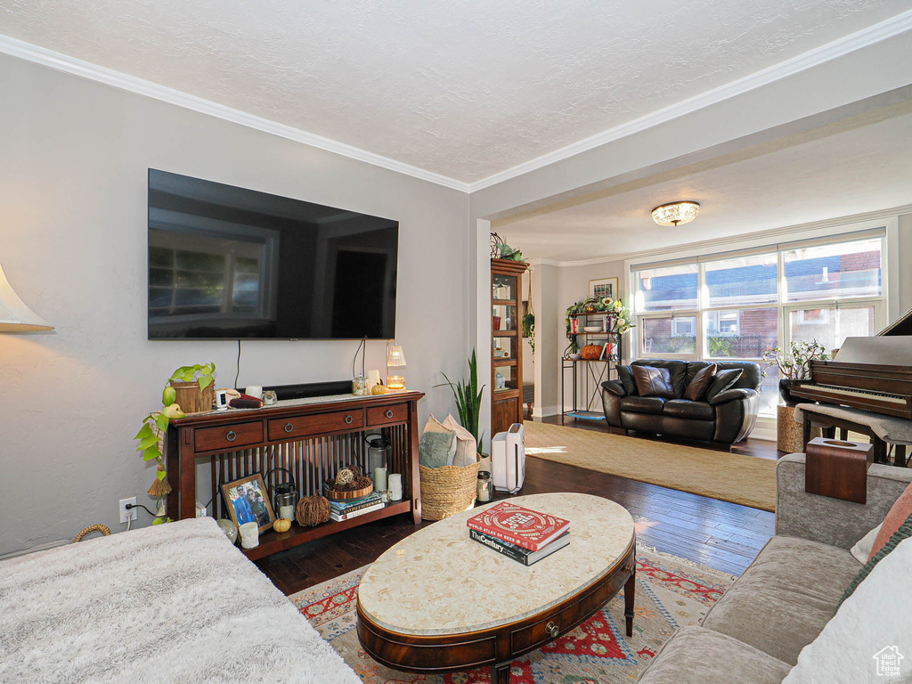 Living room with ornamental molding, a textured ceiling, and dark hardwood / wood-style floors