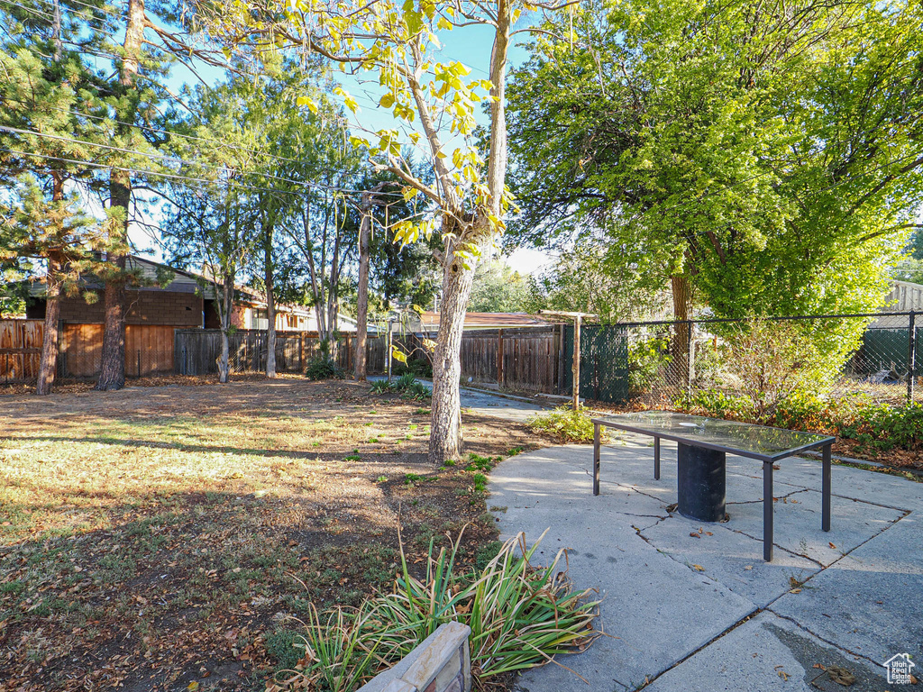 View of yard with a patio