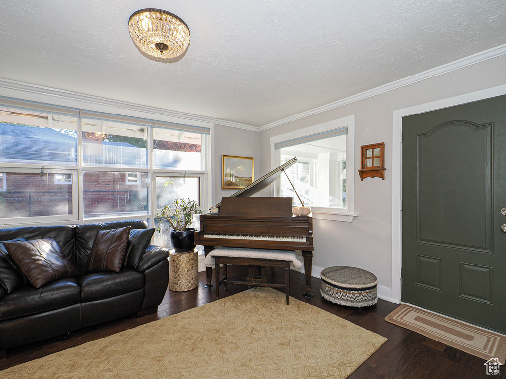 Living room featuring ornamental molding, a textured ceiling, and dark hardwood / wood-style floors