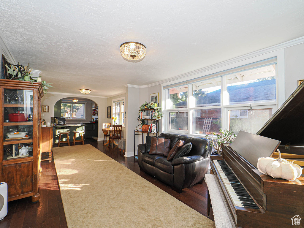 Living room with dark wood-type flooring, crown molding, and a textured ceiling