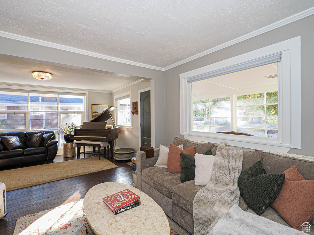 Living room with crown molding, hardwood / wood-style flooring, a textured ceiling, and plenty of natural light