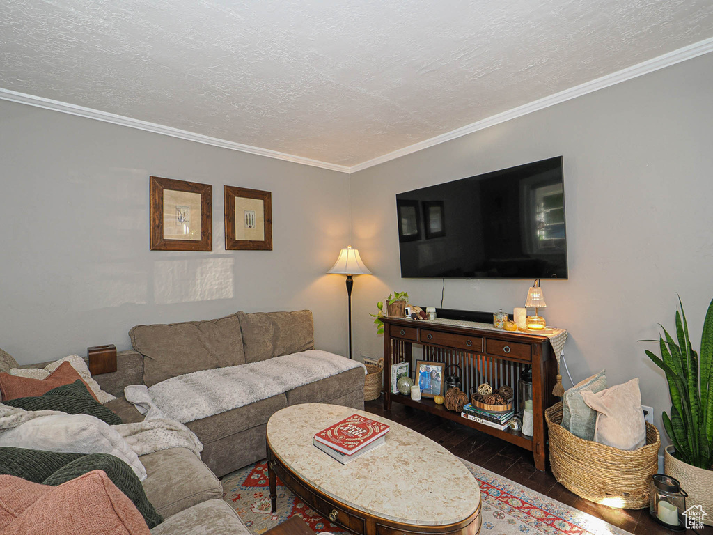 Living room with ornamental molding, a textured ceiling, and dark hardwood / wood-style floors