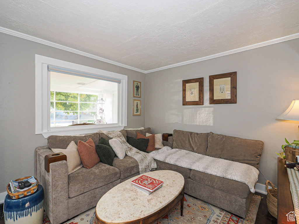 Living room featuring crown molding and a textured ceiling